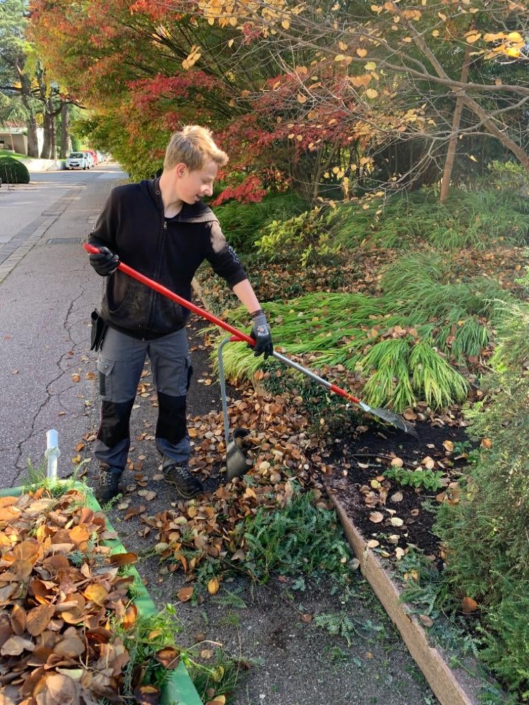Gartenbau | Berufsschule
